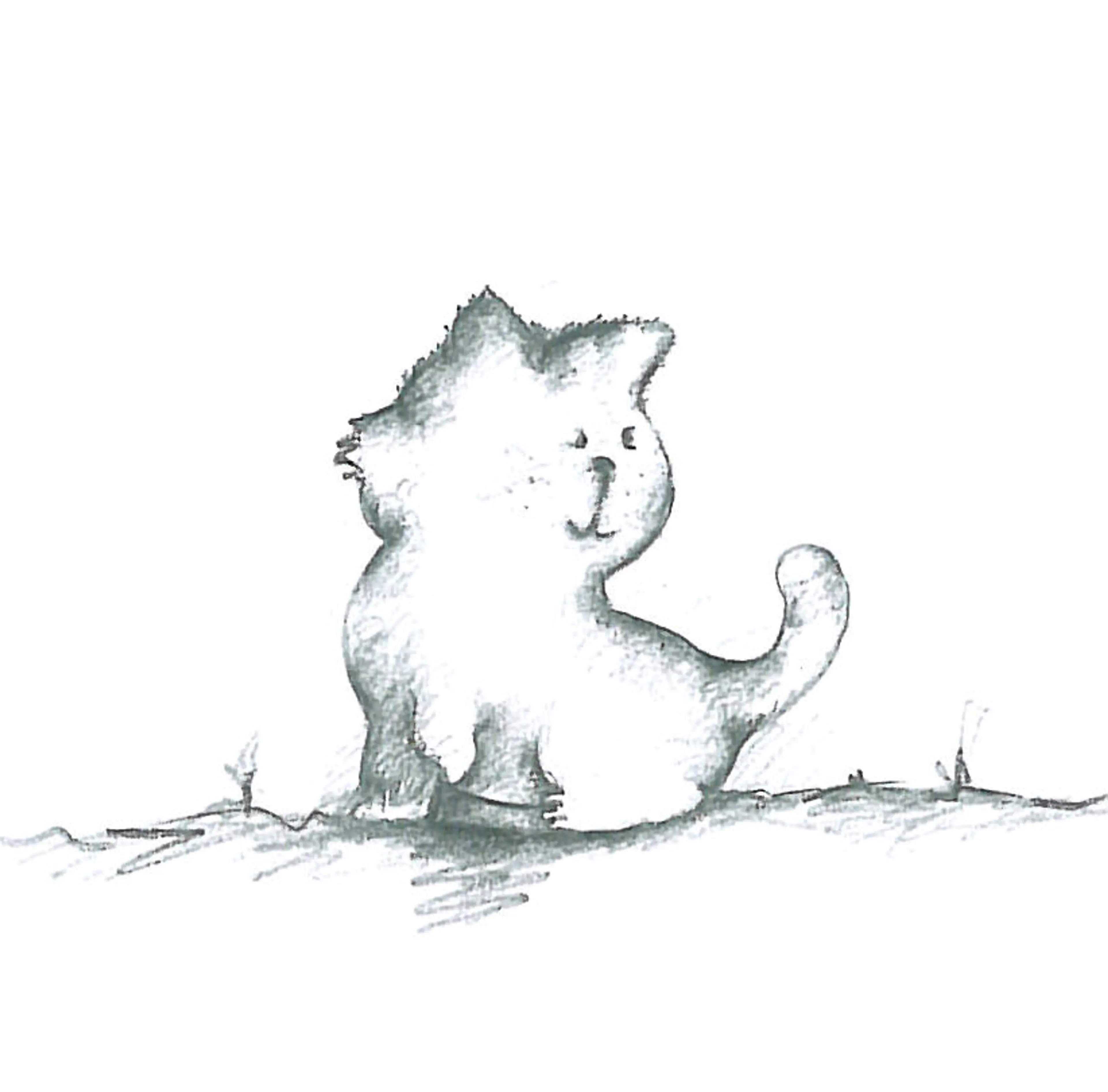 Animals (23)