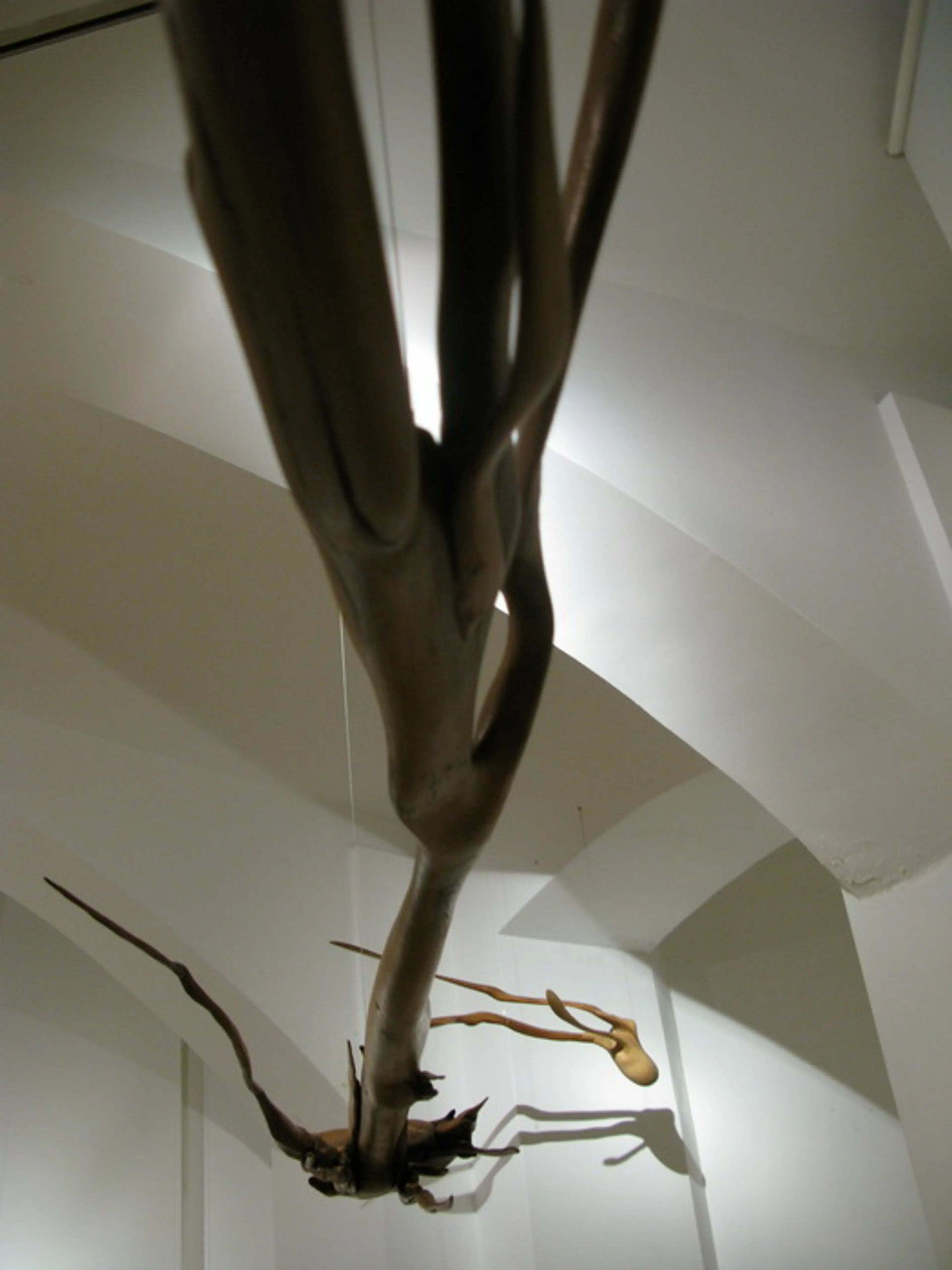 ''Time travellers", wood