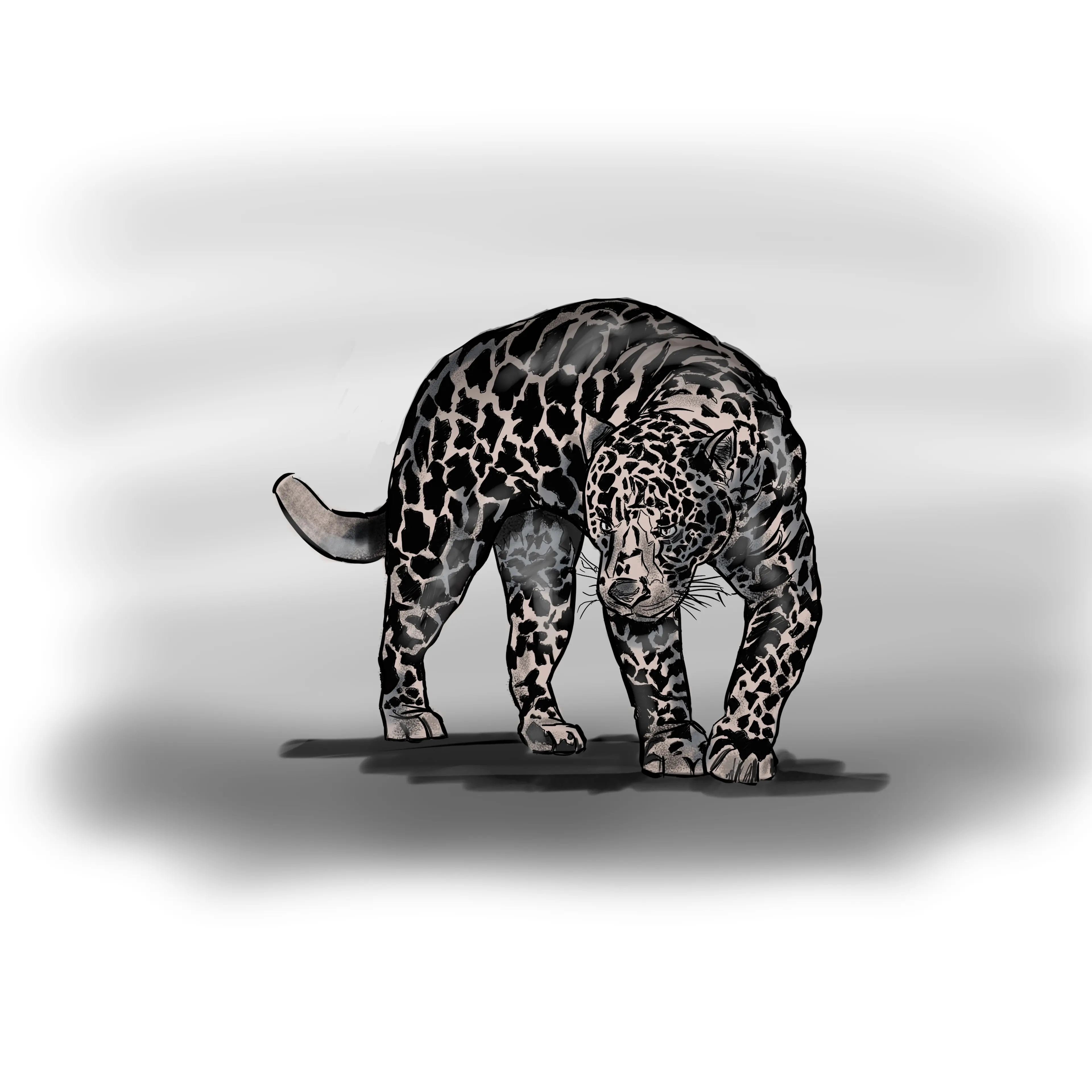 big cat