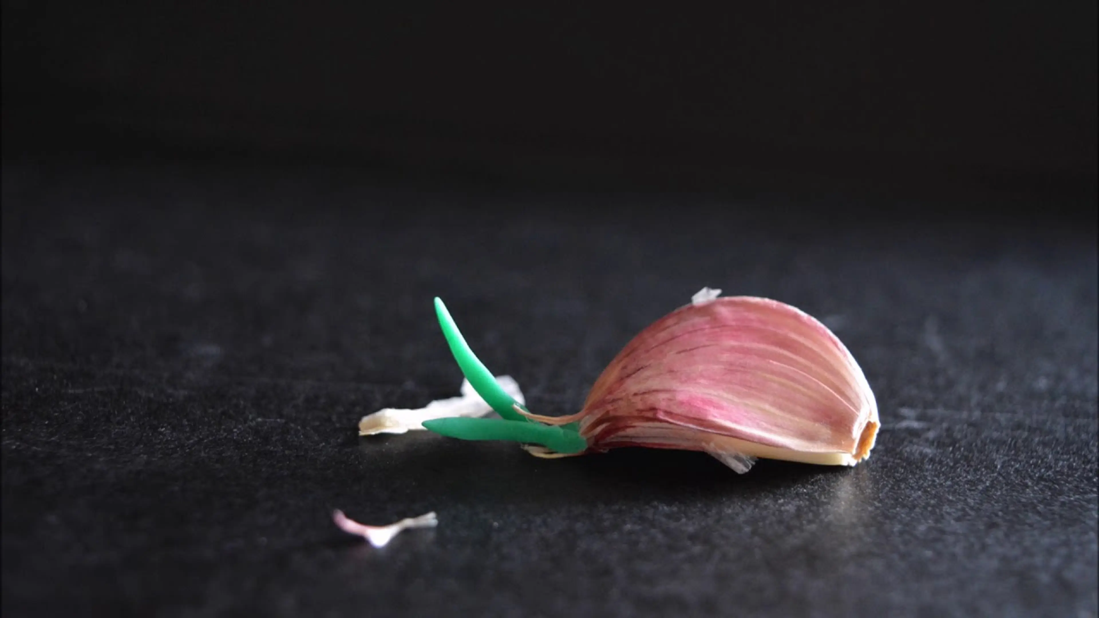 brote de ajo