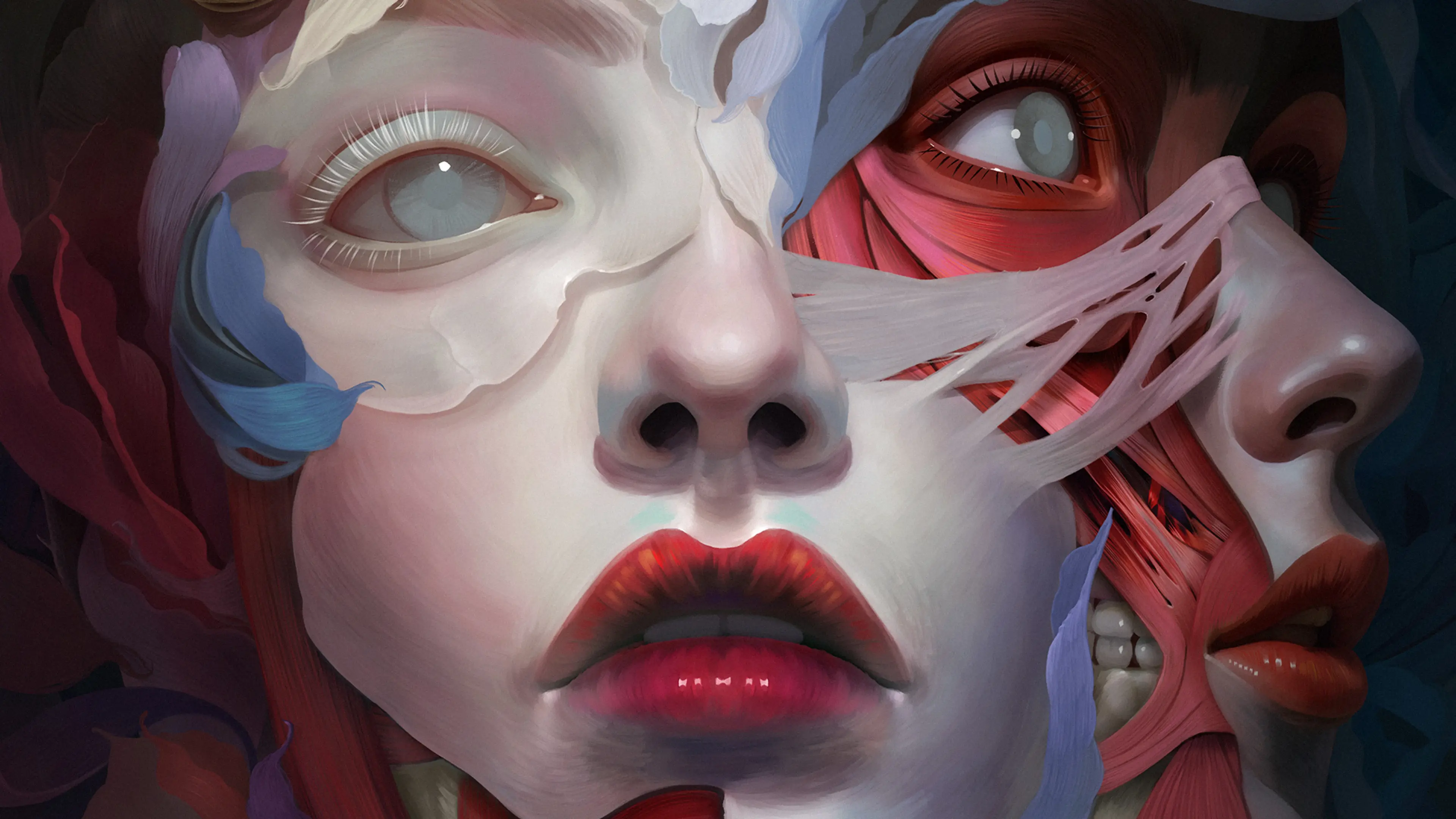 detail02 — Ilustración — Alfonso Elola