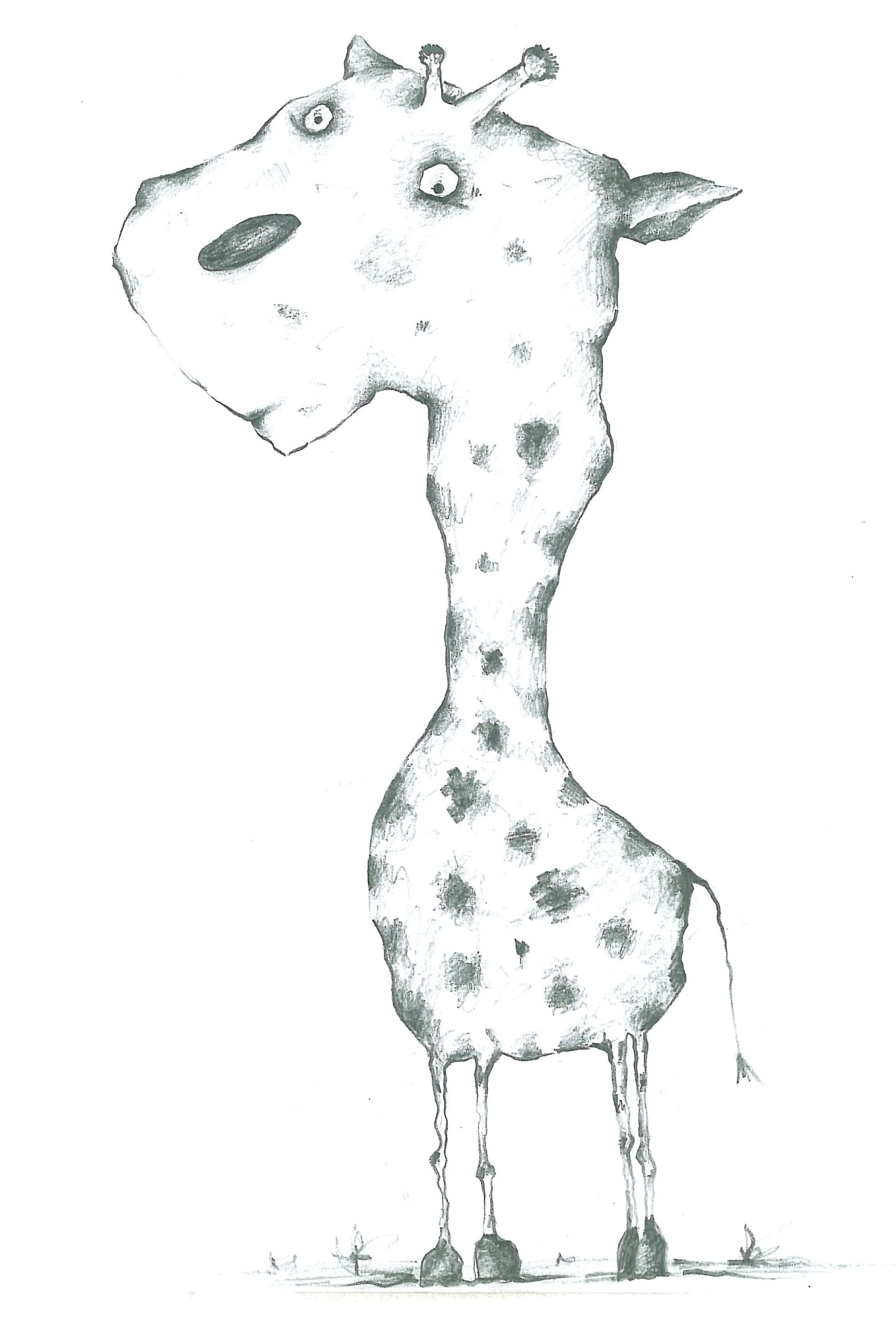 Animals (1)