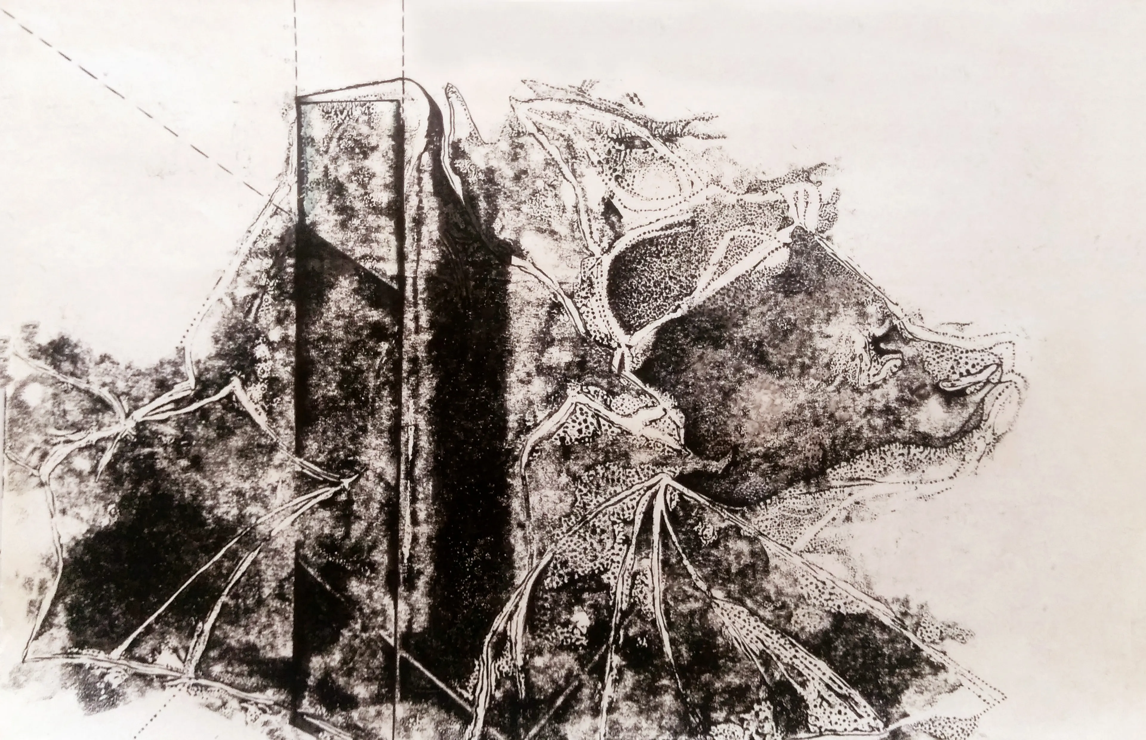 THE LEADER — Sanaz Haeri