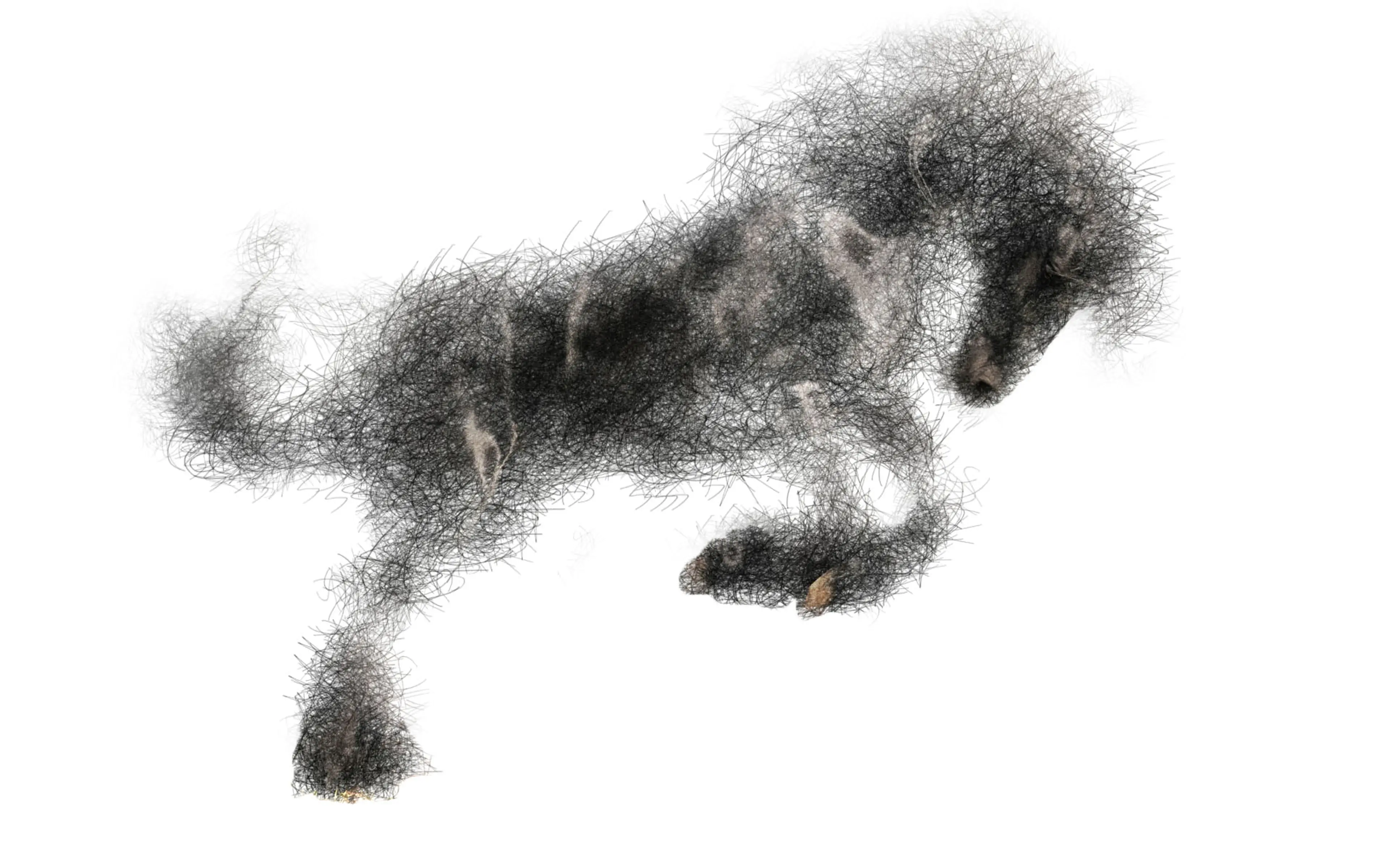 sketchy horse