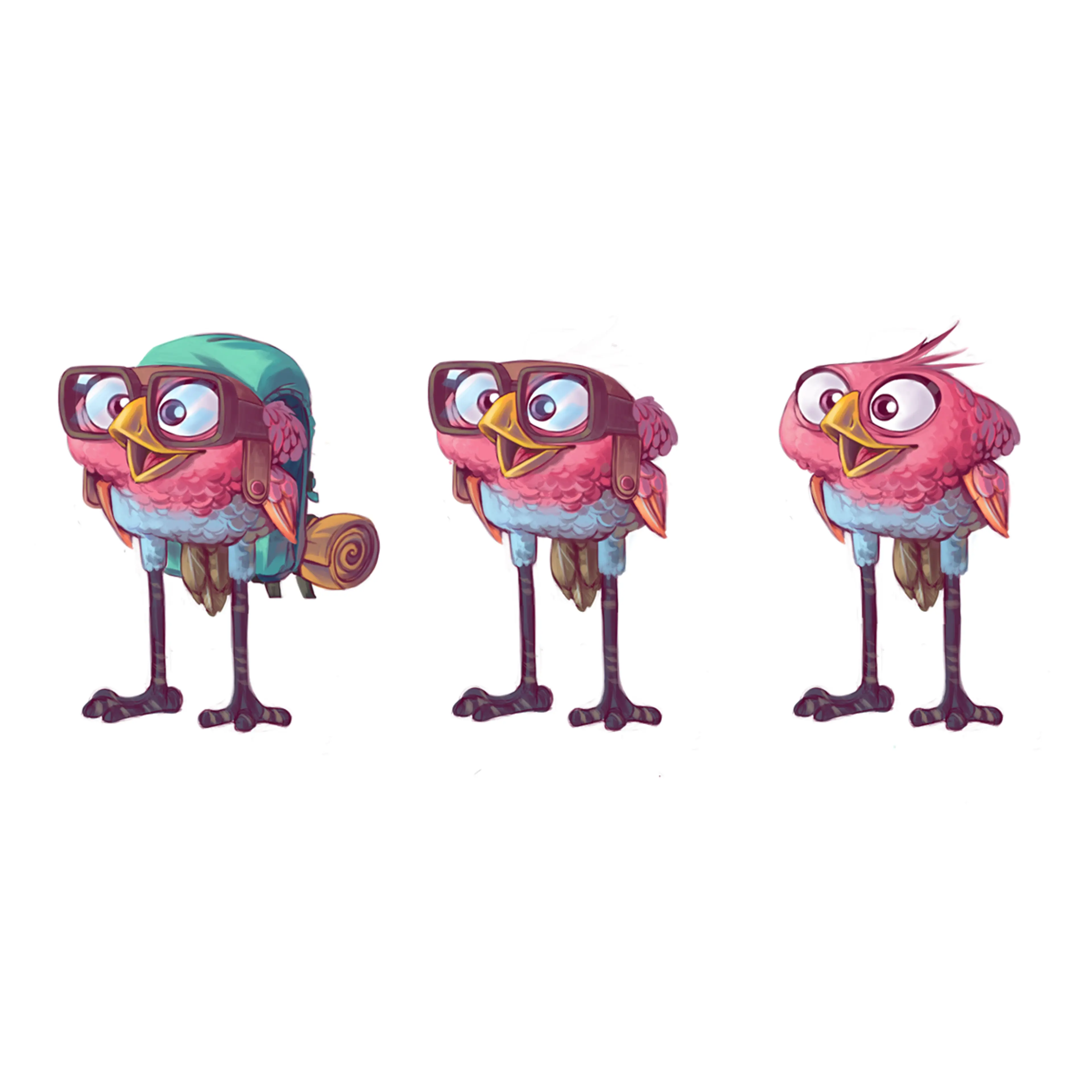 bird