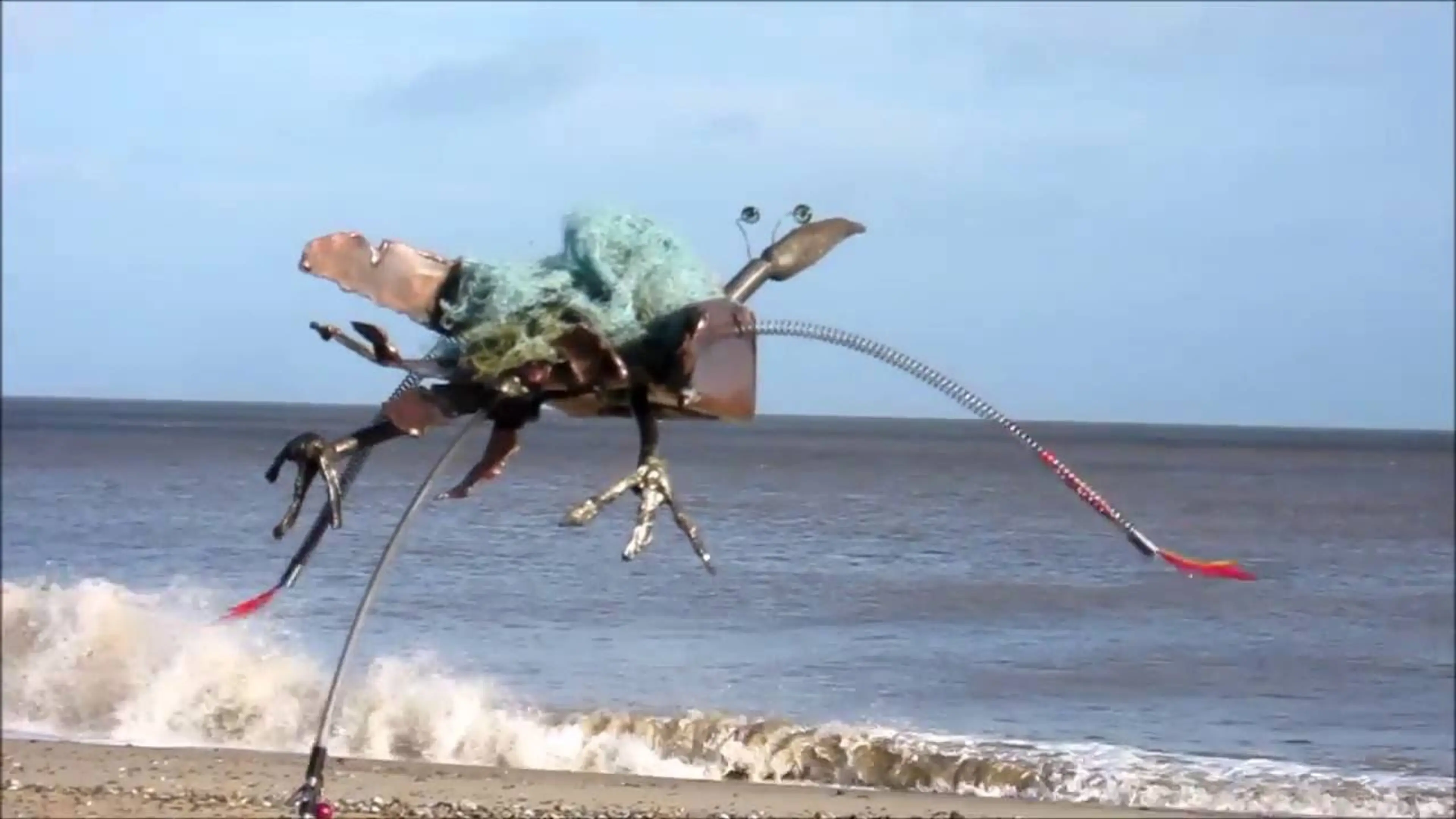 Flying bird from Norfolk