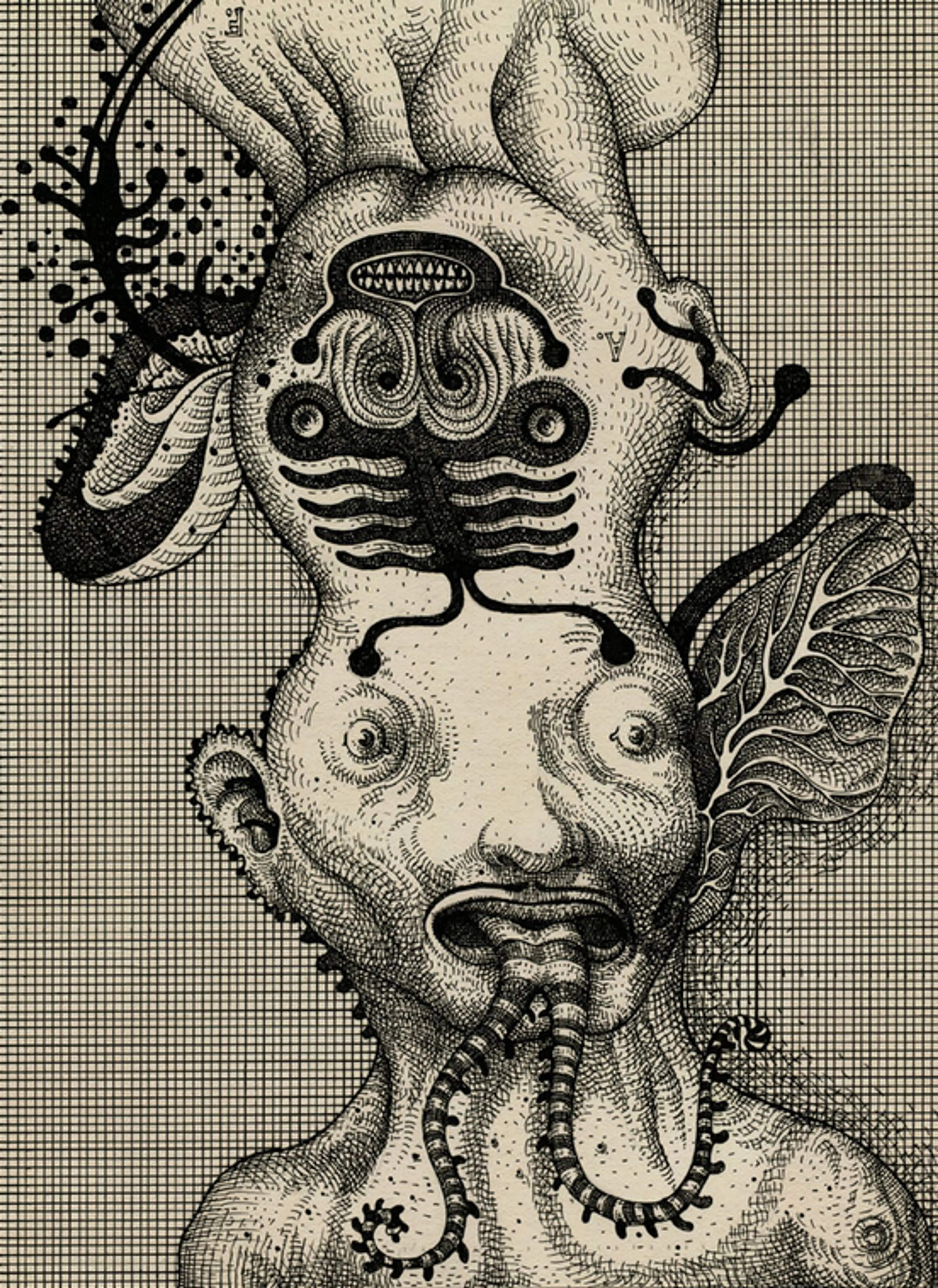 Nueva-Carne-3