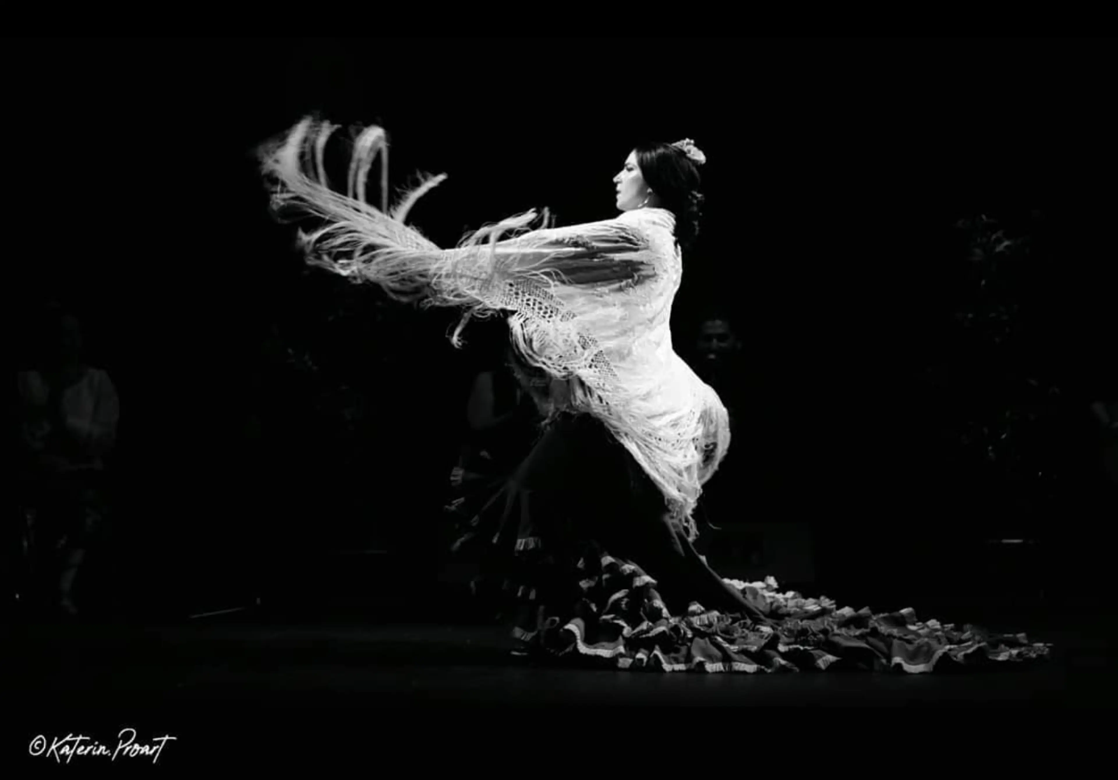 Noelia Lucas Flamenco — Danza — Noelia Lucas