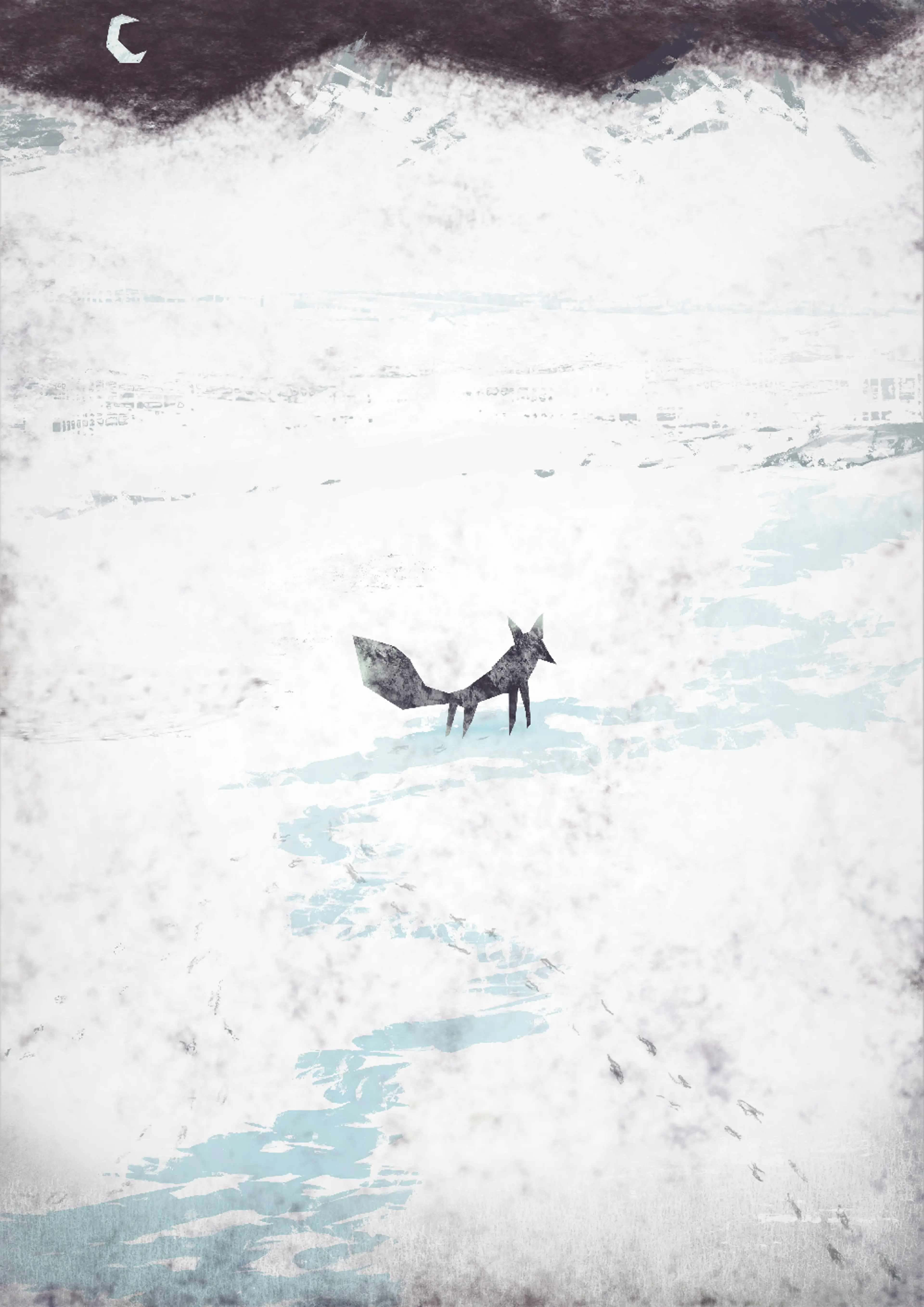snow fox.jpg