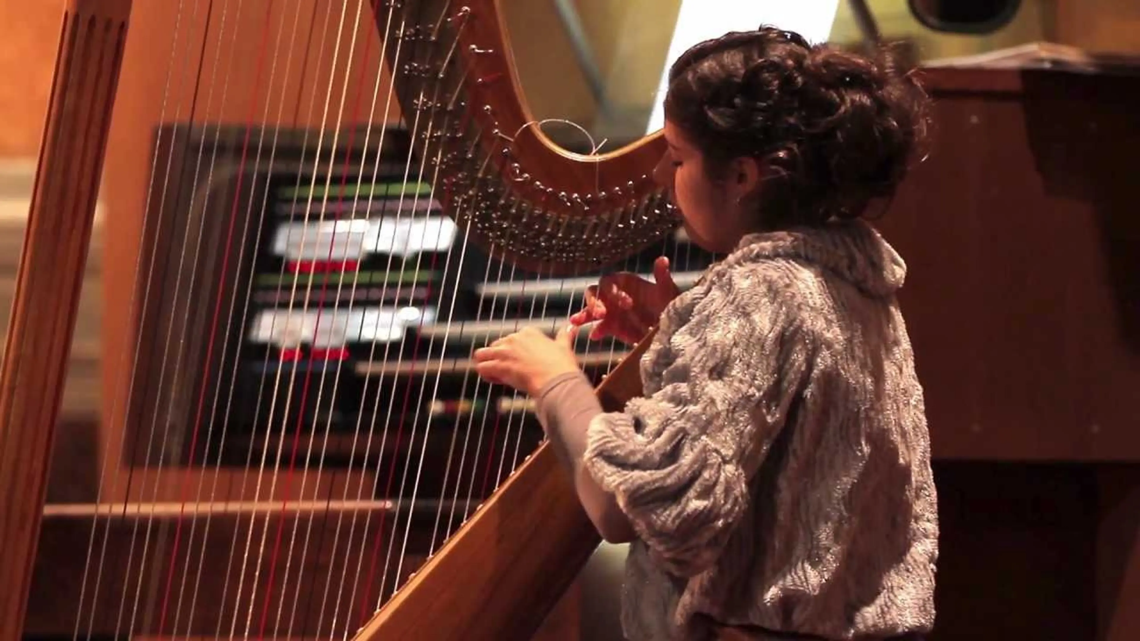 Veronika Lemishenko - Grandjany. Rhapsodie (harp) Organ Hall Kharkov 2012