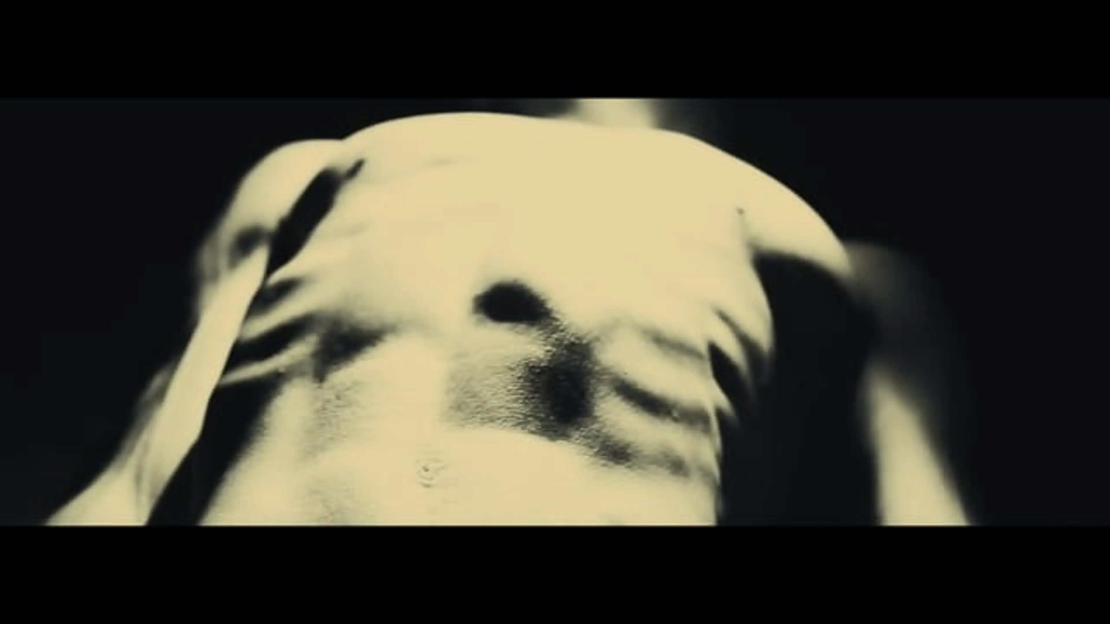 Music Videos